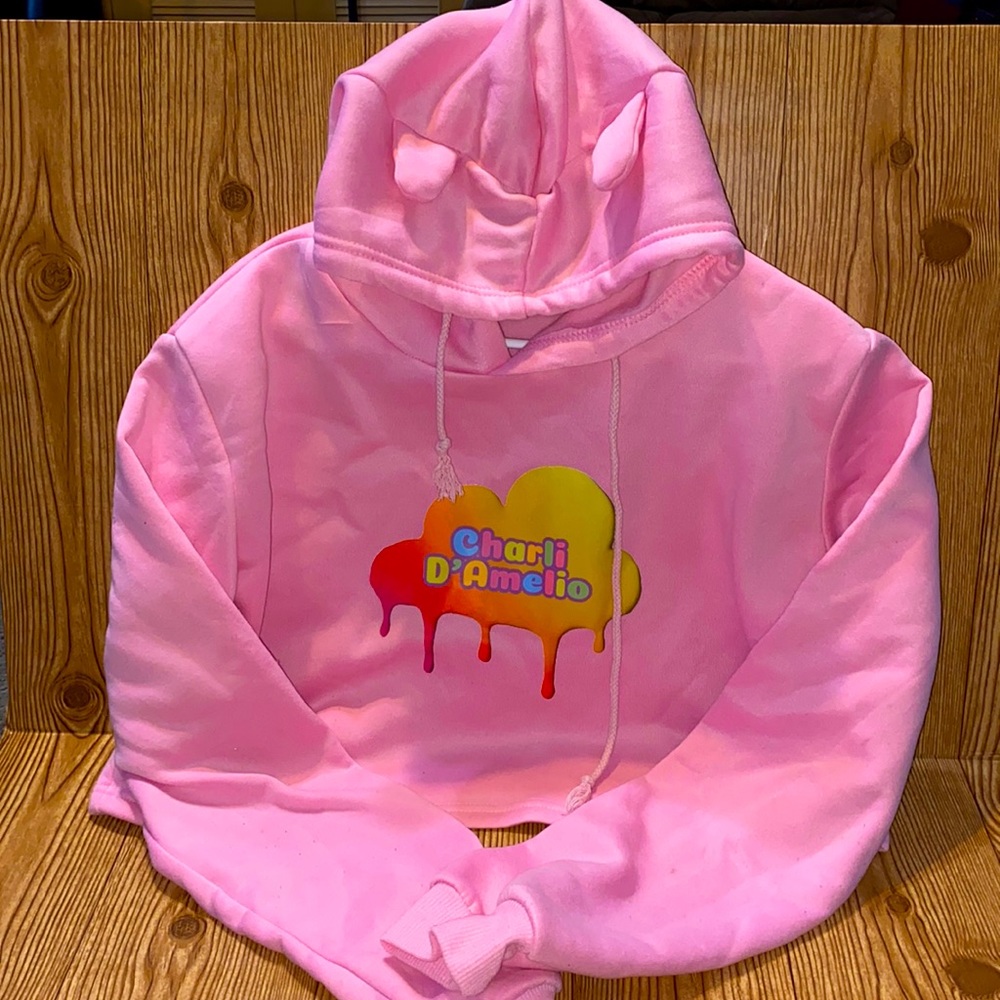 Charli D’Amelio Pink Crop Cat ear Hoodie